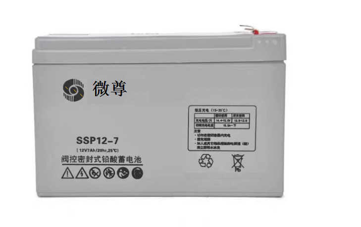 微尊蓄电池UPS专用DJW12V-17AH/24AH/38AH直流屏DJM12V100AH/65AH